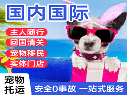 呼和浩特空运地址国际宠物托运 【国